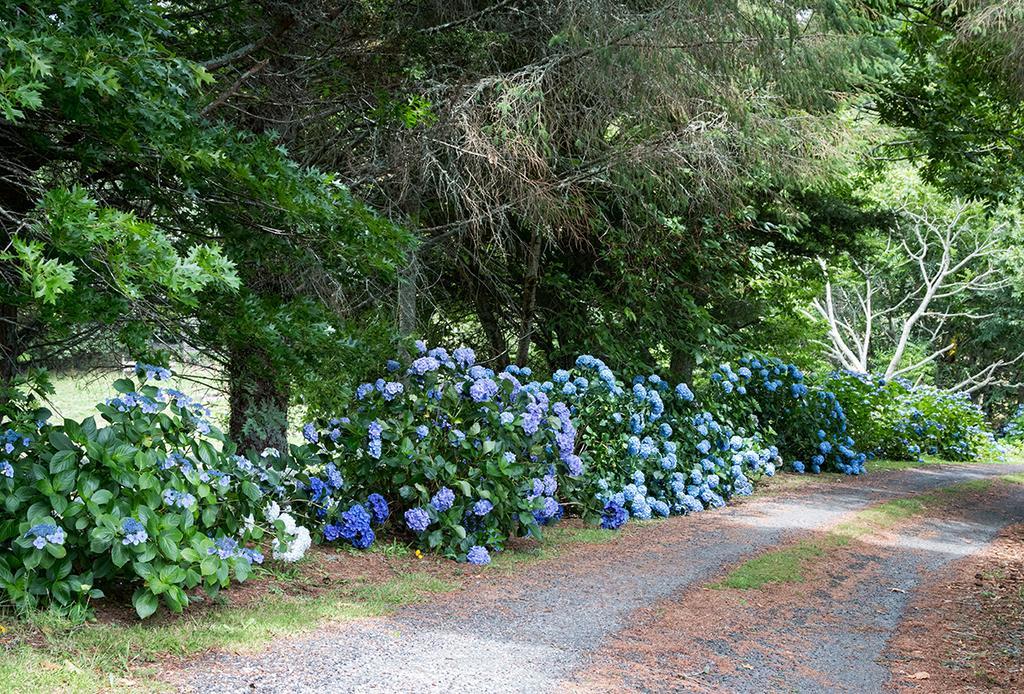 Doolans Country Retreat B&B Rotorua Bagian luar foto