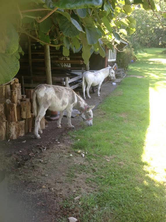 Doolans Country Retreat B&B Rotorua Bagian luar foto